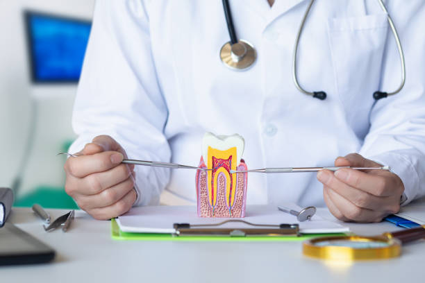  Centreville, MI Emergency Dentist Pros